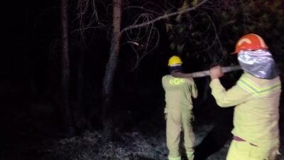 Antalya’nın Kaş ilçesindeki orman yangını büyük oranda kontrol altına alındı.