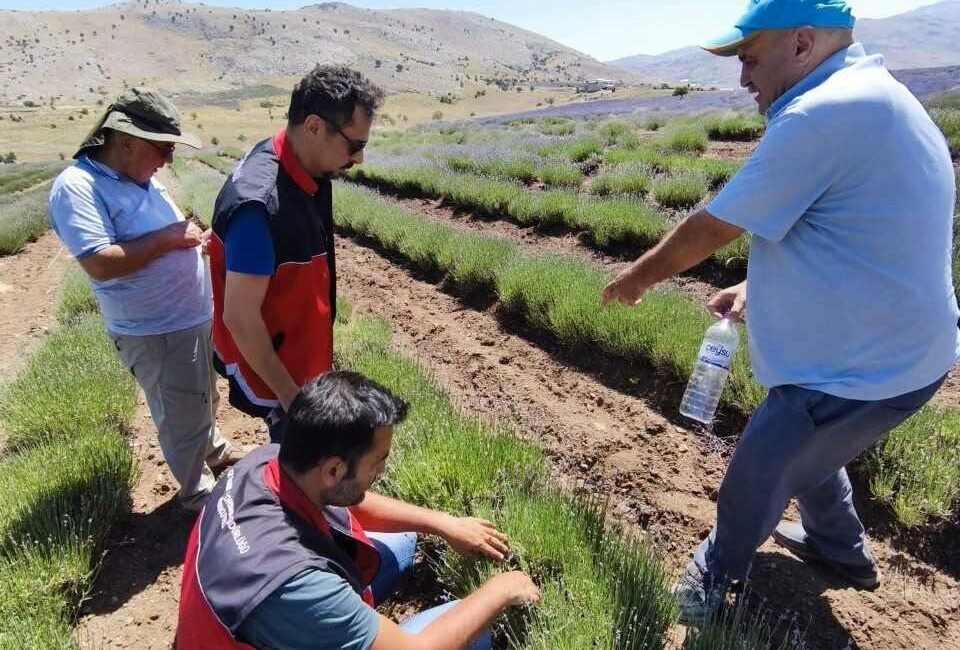 Korkuteli Tarım ve Orman İlçe Müdürlüğü, ilçede bitkisel üretimin korunmasına