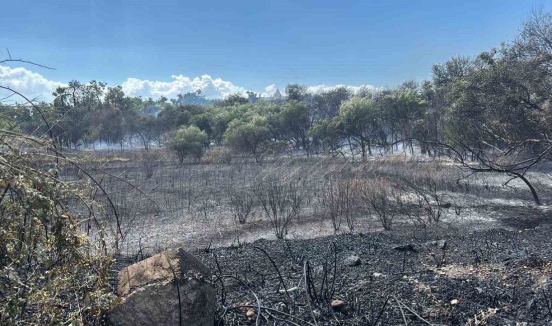 Antalya’nın Manavgat ilçesinde sazlık ve ağaçlık alanda çıkan yangın orman