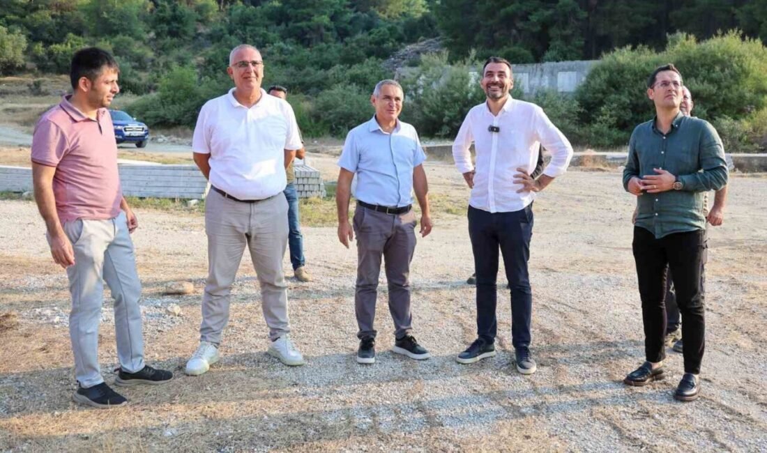 Manavgat’ta sokak hayvanlarına 75 dönümlük yaşam alanı kazandırılıyor; belediye Taşağıl