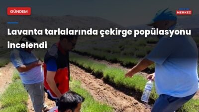 Korkuteli Tarım ve Orman İlçe Müdürlüğü, ilçede bitkisel üretimin korunmasına