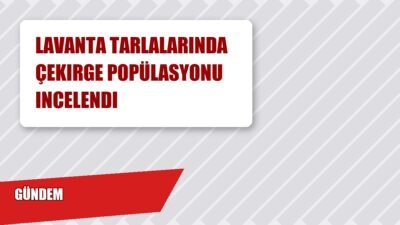 Korkuteli Tarım ve Orman İlçe Müdürlüğü, ilçede bitkisel üretimin korunmasına