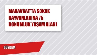 Manavgat Belediyesi, Taşağıl Mahallesi’nde 75 dönümlük geniş bir alanda Sokak
