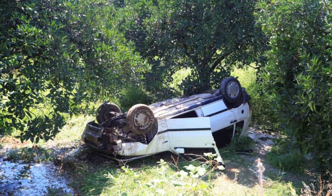 Antalya’da seyir halindeyken önüne çıkan kediye çarpmamak için manevra yapan
