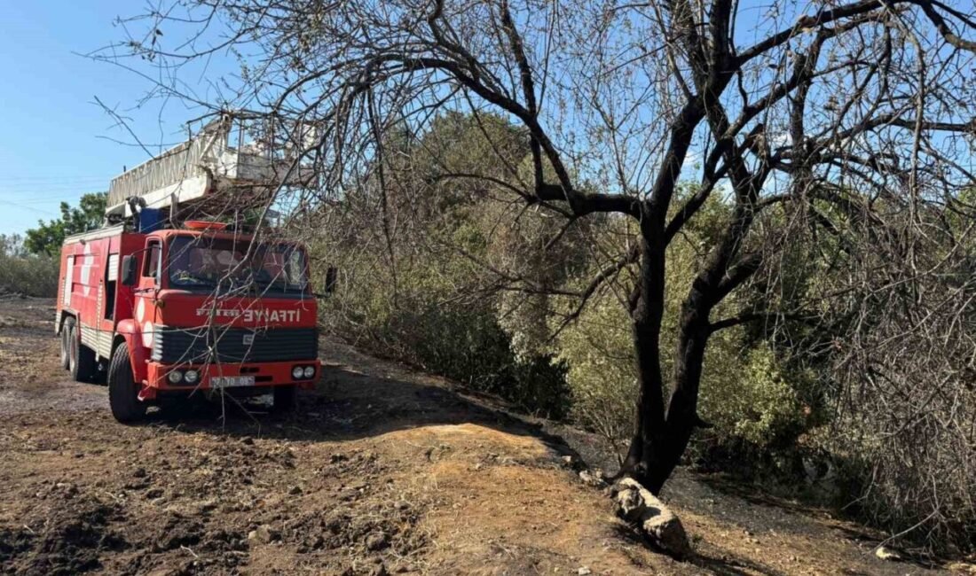 Antalya’nın Serik ilçesinde Kürüş, Yeşilyurt, Üründü ve Kozan mahallelerinde farklı
