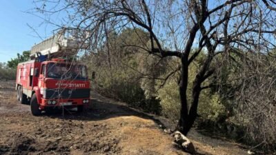 Antalya’nın Serik ilçesinde Kürüş, Yeşilyurt, Üründü ve Kozan mahallelerinde farklı