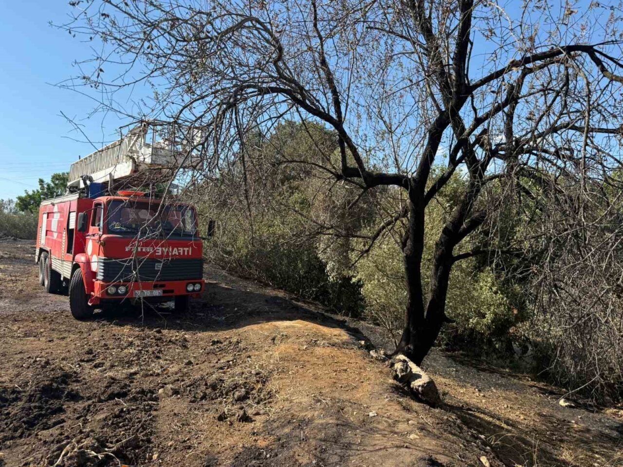 Antalya’nın Serik ilçesinde Kürüş, Yeşilyurt, Üründü ve Kozan mahallelerinde farklı