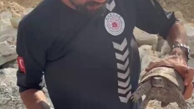 Antalya’nın Kaş ilçesindeki orman yangınına müdahale eden ekipler, vatandaşların yanı