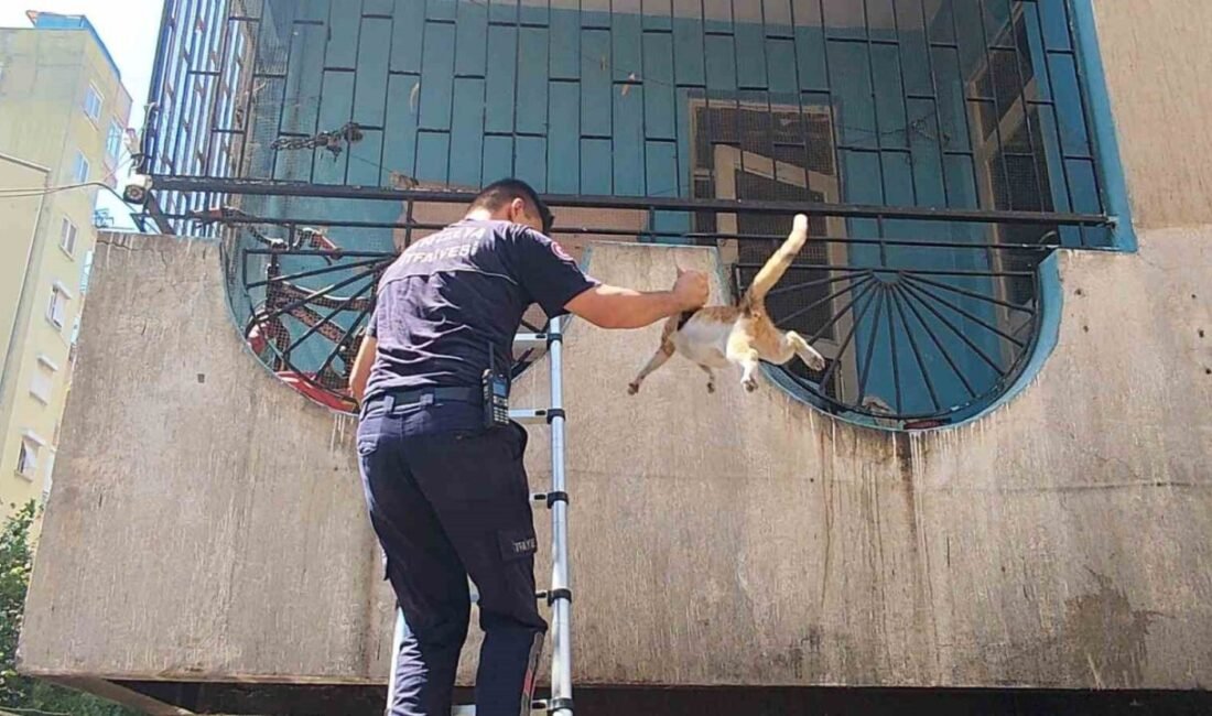 Antalya’nın Muratpaşa ilçesinde 5 katlı bir apartmanın dördüncü katındaki boş