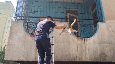 Antalya’nın Muratpaşa ilçesinde 5 katlı bir apartmanın dördüncü katındaki boş