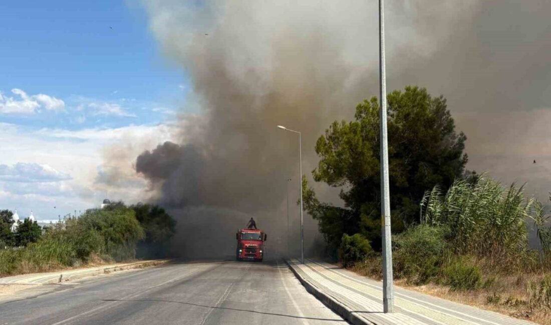 Antalya’nın Manavgat ilçesinde yol üzerinde başlayan ve rüzgarın etkisiyle büyüyen
