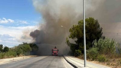 Antalya’nın Manavgat ilçesinde yol üzerinde başlayan ve rüzgarın etkisiyle büyüyen