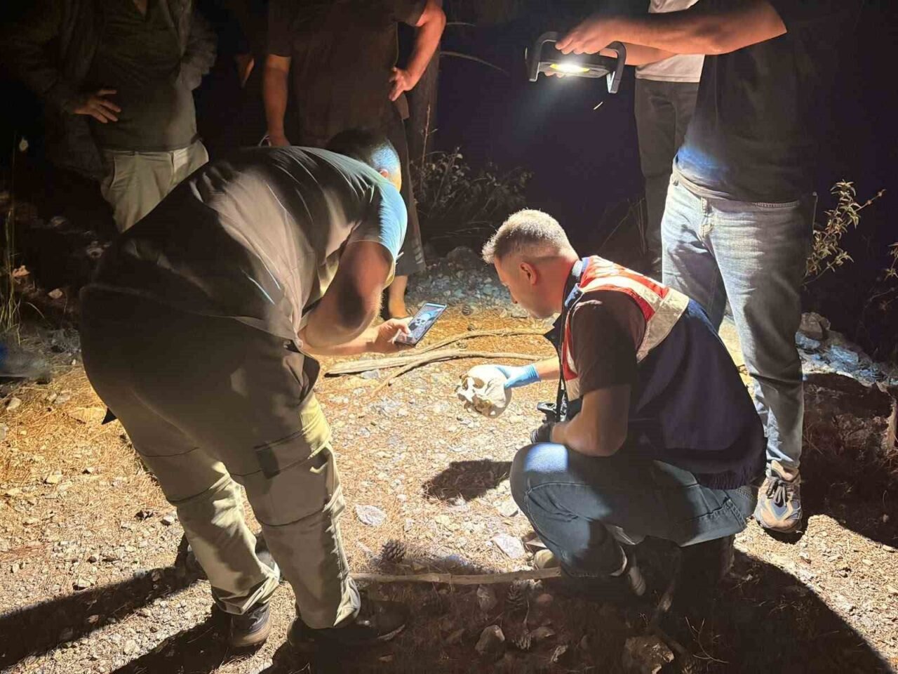 Antalya’nın Gazipaşa ilçesinde hayvanlarını otlatan bir çoban tarafından ormanlık alanda
