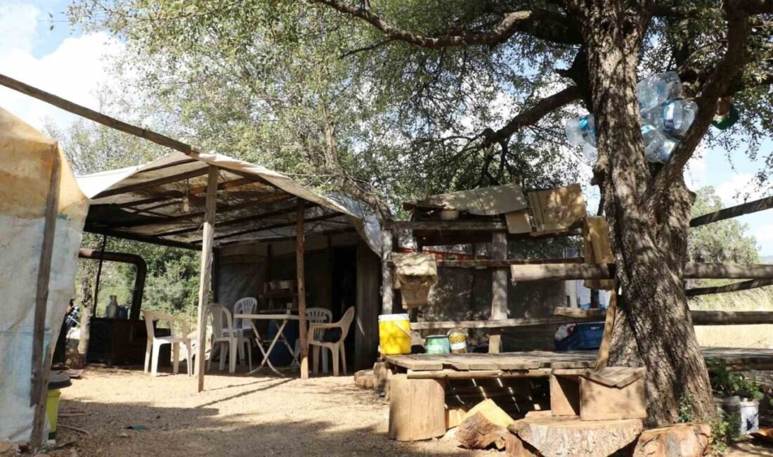 Antalya’nın Akseki ilçesinde orman işçiliği yapan ailenin küçük oğlu, ağaç