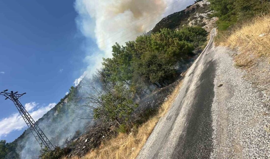 Antalya’nın Akseki ilçesinde çıkan orman yangınına havadan ve karadan müdahale