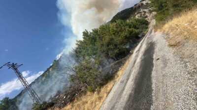 Antalya’nın Akseki ilçesinde çıkan orman yangınına havadan ve karadan müdahale