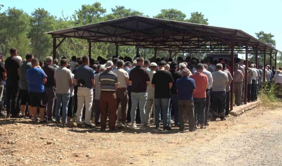 Antalya’nın Aksu ilçesinde devam eden yangında Yeşilkaraman Mahallesi’ni saran alevler