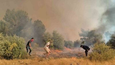 Antalya’nın Aksu ilçesinde dün öğle saatlerinde başlayan ve rüzgar sebebiyle
