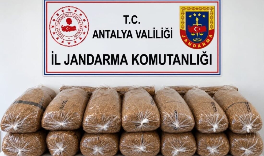 Antalya’nın Alanya ilçesinde jandarma ekiplerince düzenlenen operasyonda, koliler içerisinde 144