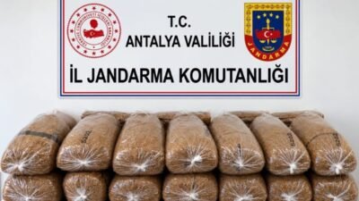 Antalya’nın Alanya ilçesinde jandarma ekiplerince düzenlenen operasyonda, koliler içerisinde 144