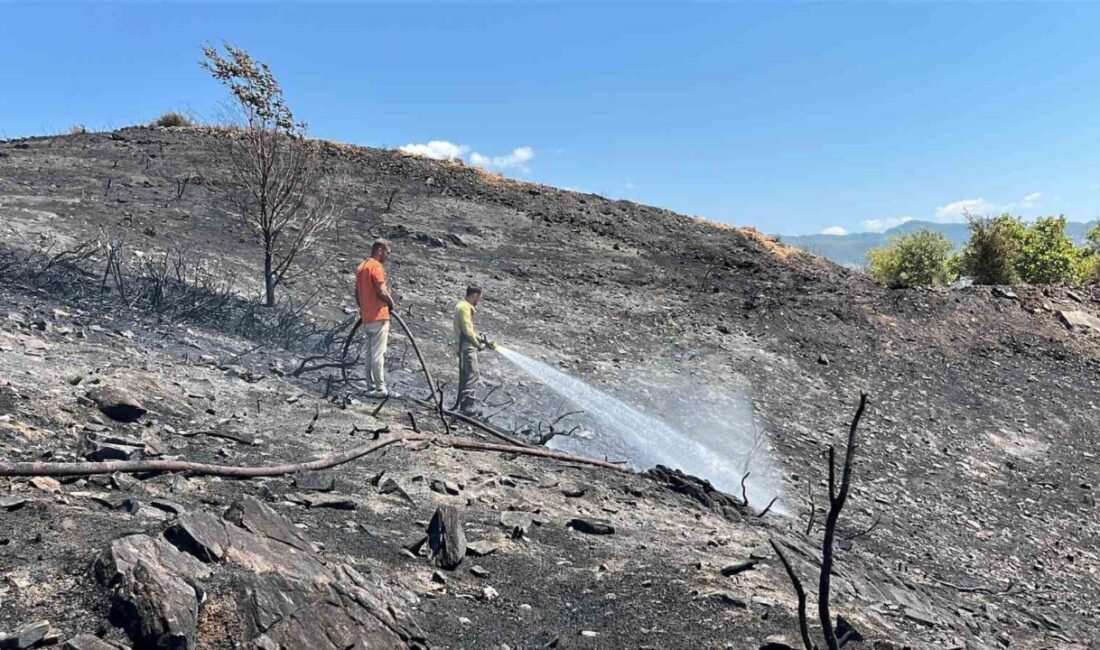Antalya’nın Alanya ilçesinde ağaçlık alanda henüz belirlenemeyen nedenle çıkan yangın,