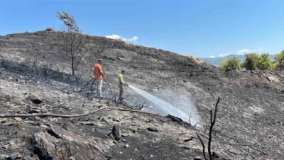 Antalya’nın Alanya ilçesinde ağaçlık alanda henüz belirlenemeyen nedenle çıkan yangın,