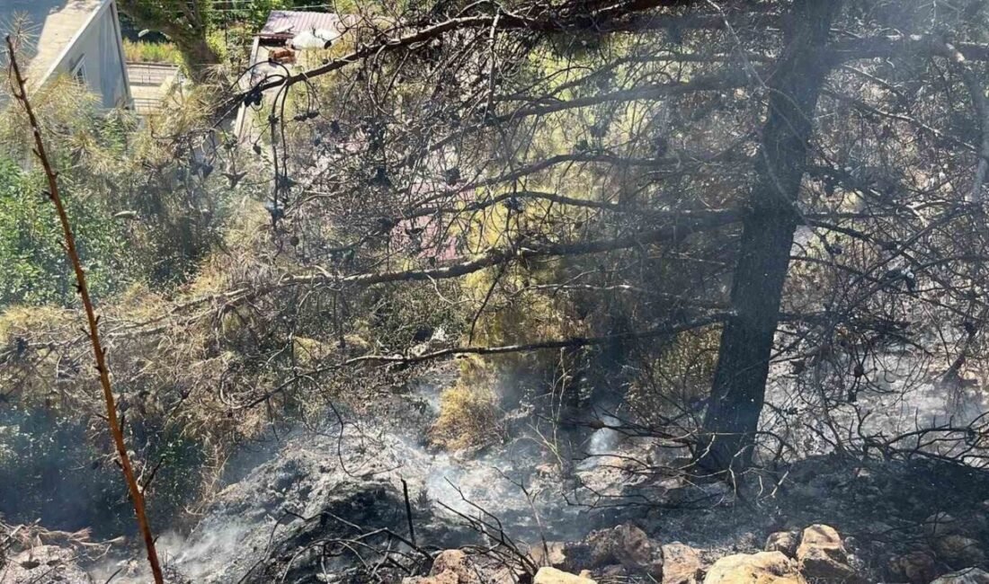 Antalya’nın Alanya ilçesinde çalılık alanda çıkan yangın, ekiplerin kısa sürede