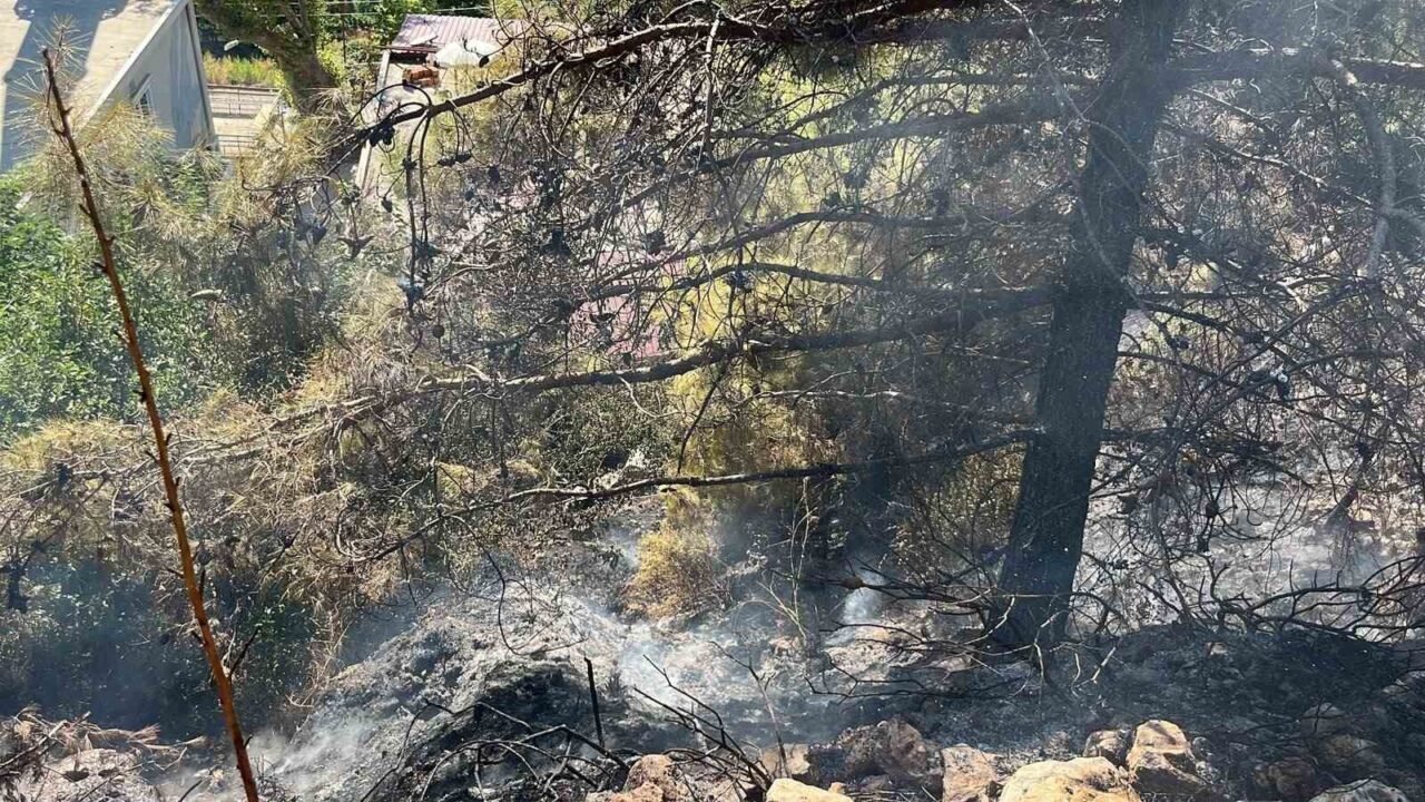 Antalya’nın Alanya ilçesinde çalılık alanda çıkan yangın, ekiplerin kısa sürede