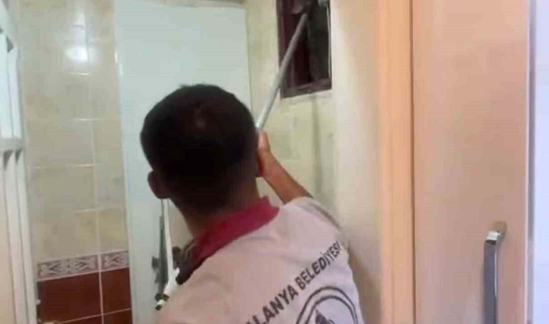 Antalya’nın Alanya ilçesinde bir apartmanın havalandırma boşluğuna düşen sokak kedisi,