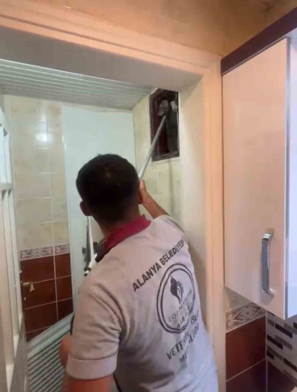 Antalya’nın Alanya ilçesinde bir apartmanın havalandırma boşluğuna düşen sokak kedisi,