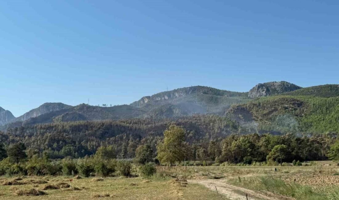 Antalya’nın Serik ilçesinde orman dışı alanda çıkan yangın büyük oranda