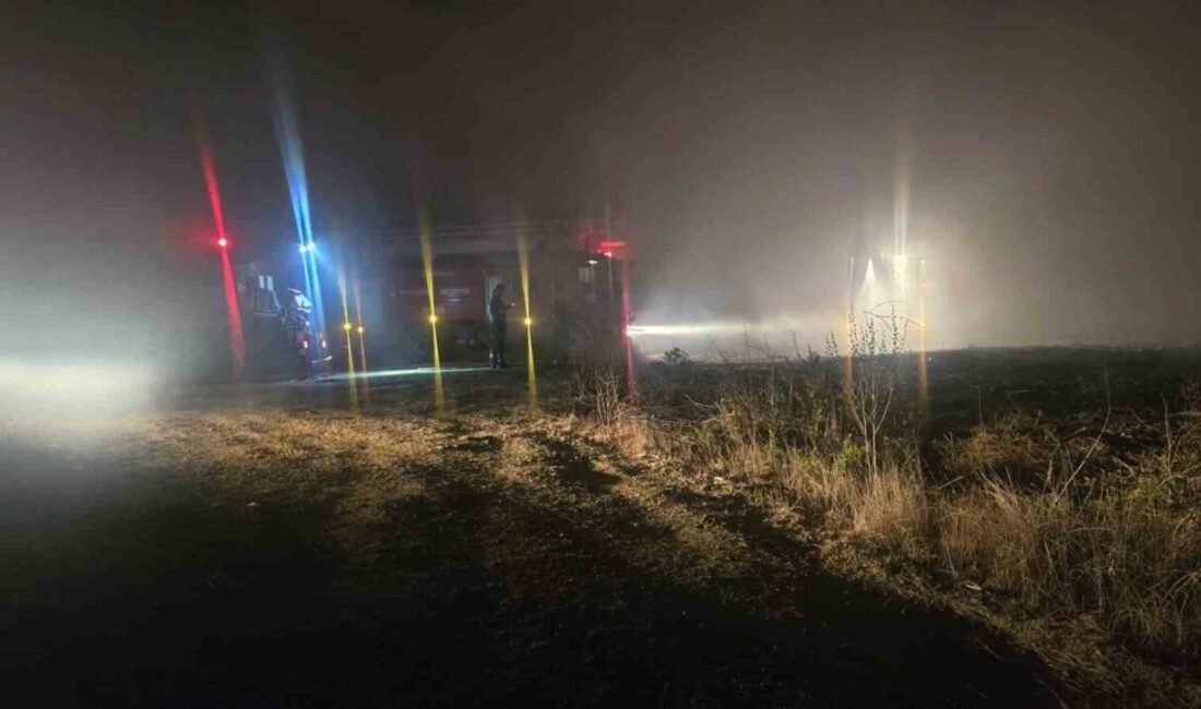 Antalya’nın Serik ilçesine bağlı Boğazkent Mahallesi’nde sazlık alanda çıkan yangın,
