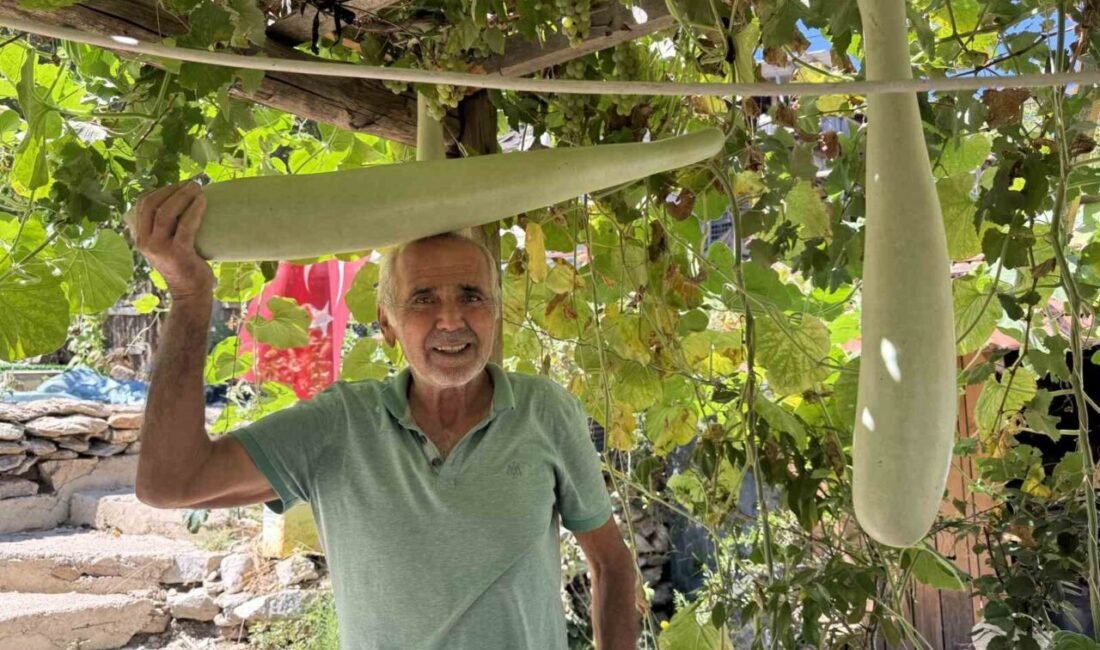 Antalya’nın İbradı ilçesine bağlı Ürünlü Mahallesi’nde yaz aylarını geçiren Şendur