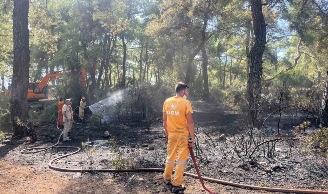 Antalya’nın Kepez ilçesinde çıkan orman yangını, havadan ve karadan müdahaleyle