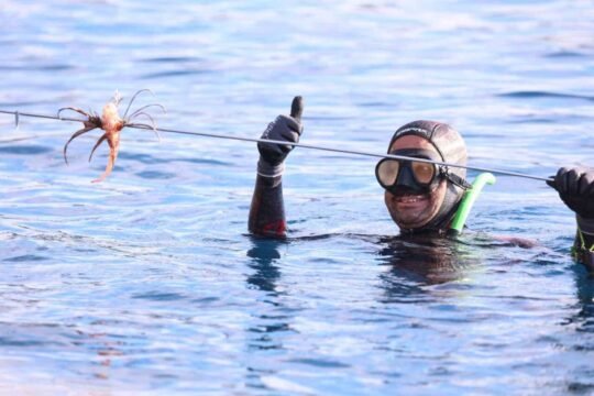 Antalya Büyükşehir Belediyesi tarafından Finike Gökliman’da düzenlenen Aslan Balığı Avlama