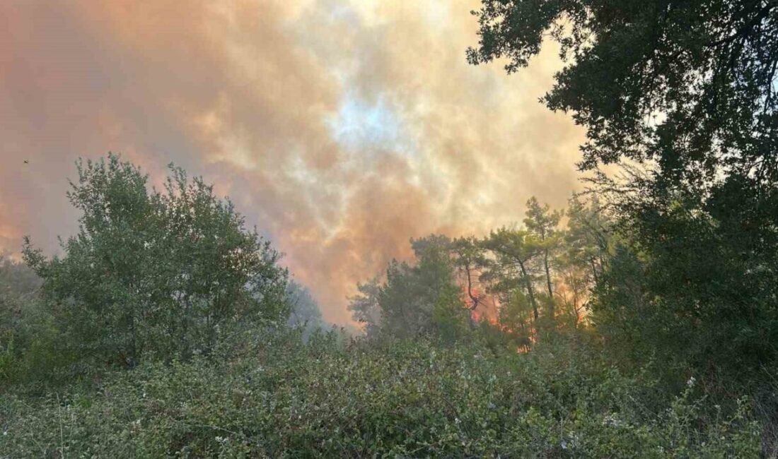 Antalya’nın Serik ilçesinde orman dışı alanda başlayan ve rüzgarın etkisiyle