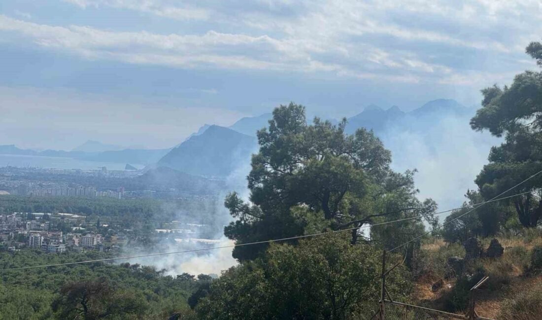 Antalya’da çıkan orman yangınına ekipler havadan ve karadan müdahalede bulunuyor.