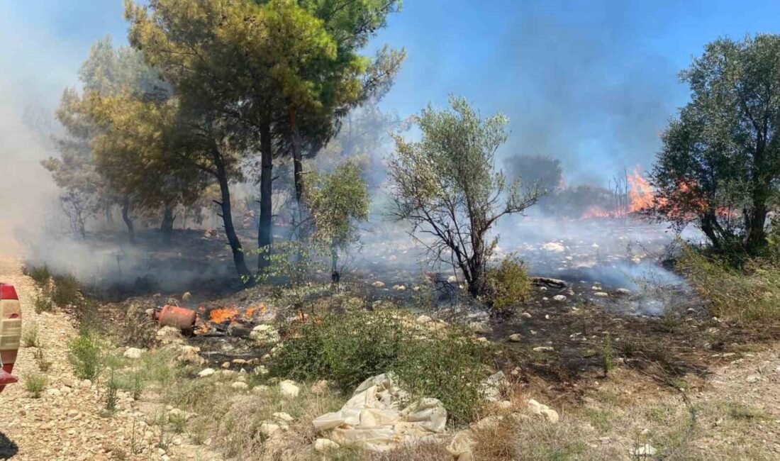 Antalya’nın Serik ilçesinde zirai alanda çıkan yangın, ormanlık alana ve