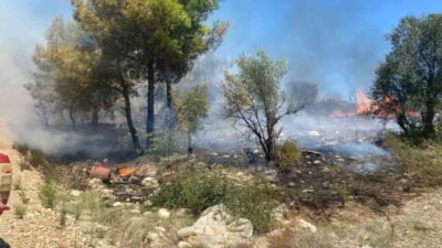 Antalya’nın Serik ilçesinde zirai alanda çıkan yangın, ormanlık alana ve