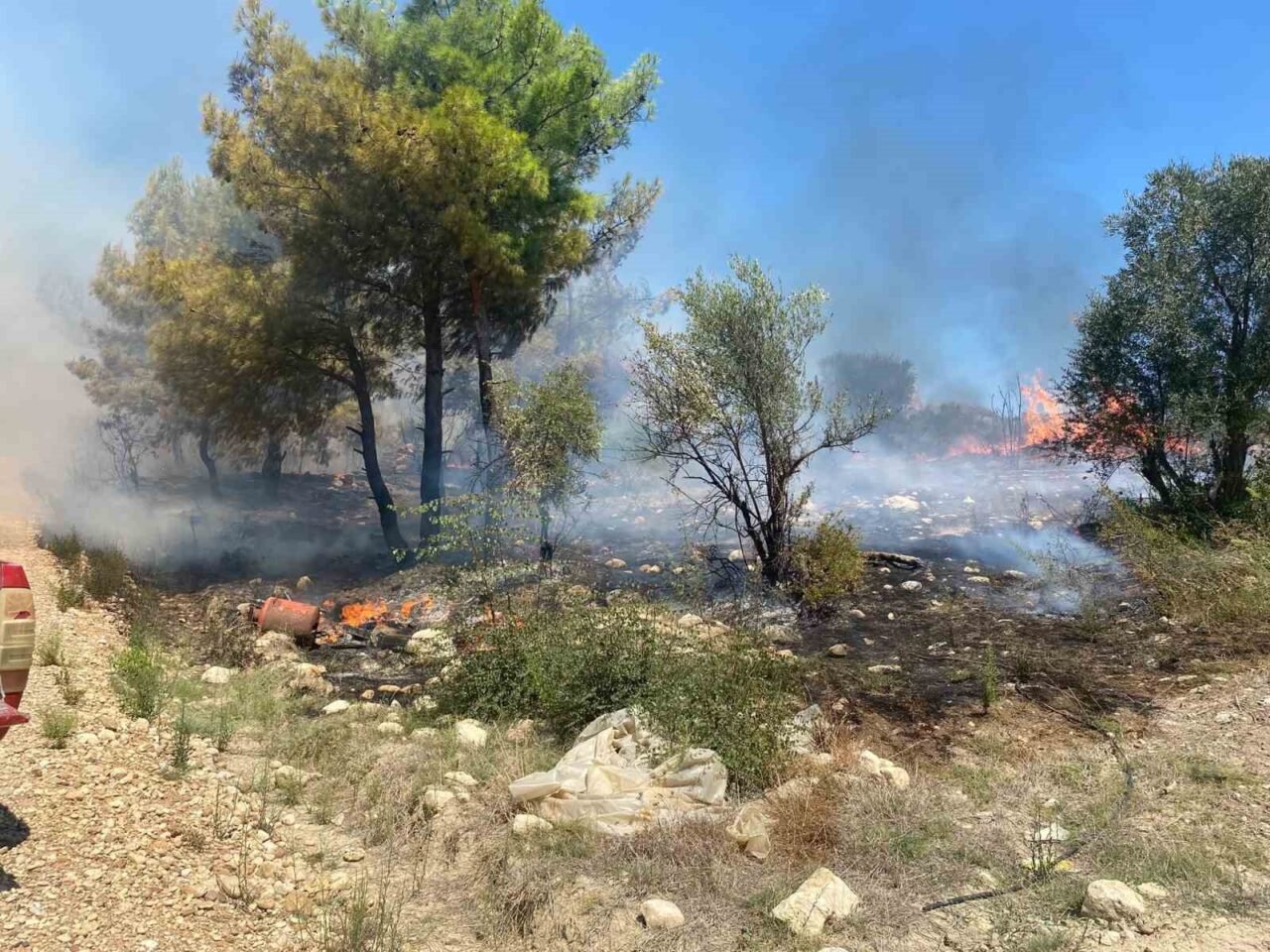 Antalya’nın Serik ilçesinde zirai alanda çıkan yangın, ormanlık alana ve