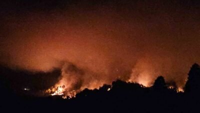 Antalya’nın Serik ilçesinde orman dışı alanda çıkan yangını söndürme çalışmaları