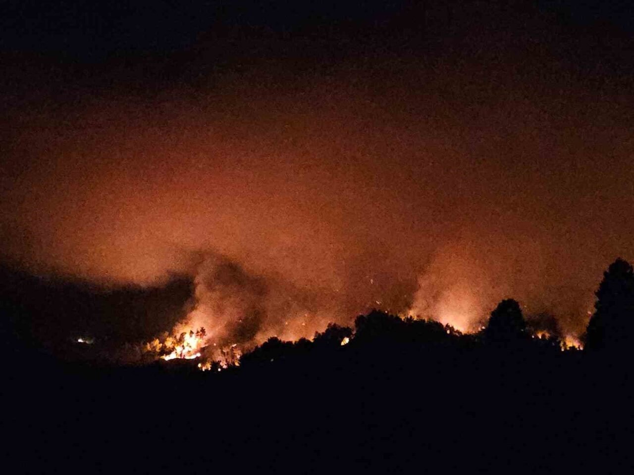 Antalya’nın Serik ilçesinde orman dışı alanda çıkan yangını söndürme çalışmaları