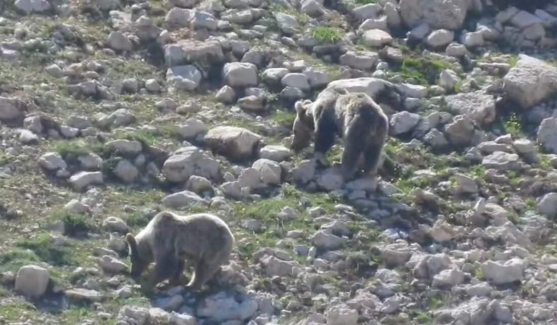 Antalya’nın Akseki ilçesine bağlı, deniz seviyesinden 2 bin 200 ila