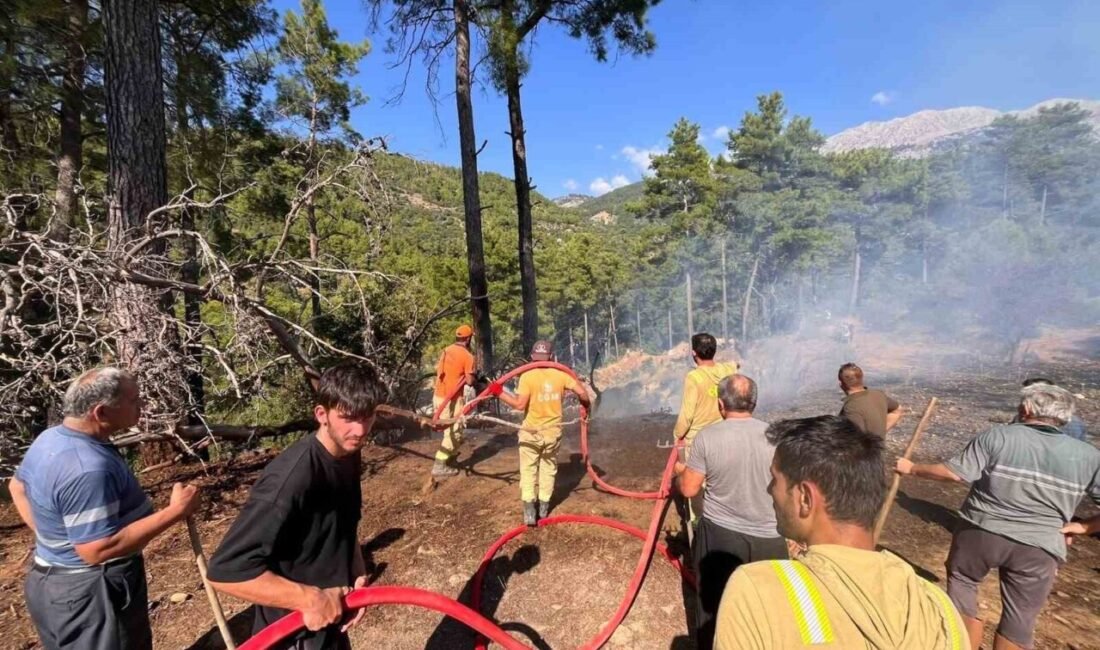 Antalya’nın Manavgat ilçesinde kopan enerji nakil hattı nedeniyle çıkan orman