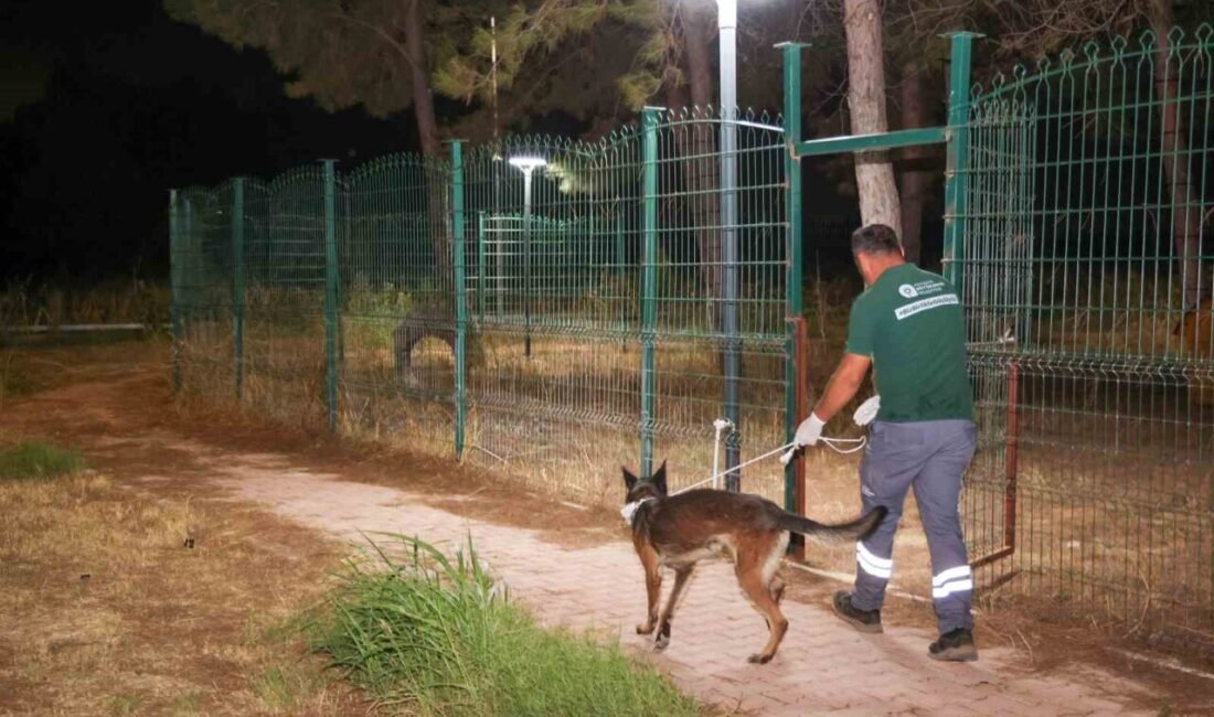 Kimi alevlerden kaçtı, kimi dumanın arasında mahsur kaldı. Yangının geride