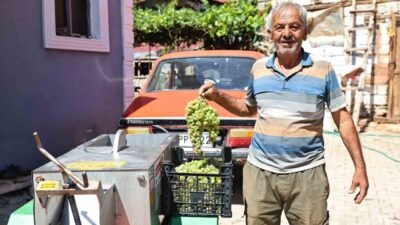 Antalya Büyükşehir Belediyesi, Elmalı ilçesinde üzüm üretimi yapan çiftçilere hasat
