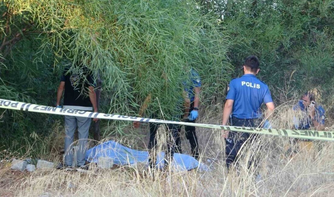 Antalya’da ağaçlık alanda bir kişinin cansız bedeni bulundu. Bugün doğum