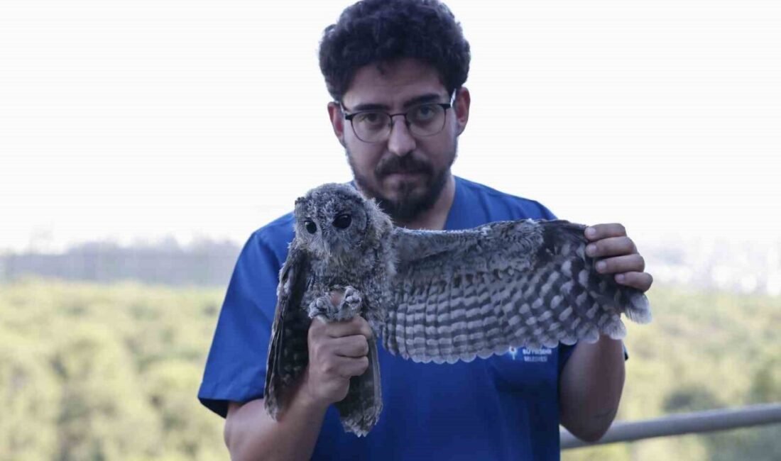 Geçtiğimiz aylarda ebeveynleri tarafından terk edilen ve bakıma muhtaç halde