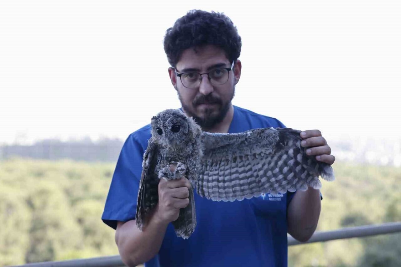 Geçtiğimiz aylarda ebeveynleri tarafından terk edilen ve bakıma muhtaç halde