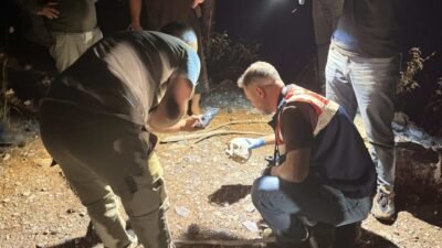 Antalya’nın Gazipaşa ilçesinde hayvanlarını otlatan bir çoban tarafından ormanlık alanda